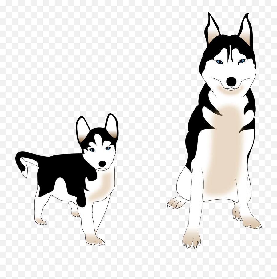 Dog Siberian Husky Puppy Friend - Husky Siberiano Vector Png Emoji,Husky Clipart
