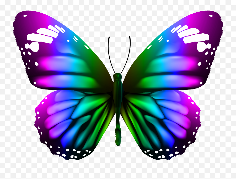 Butterfly Transparent Png Image Gallery - Real High Resolution Butterfly Wings Emoji,Butterflies Clipart