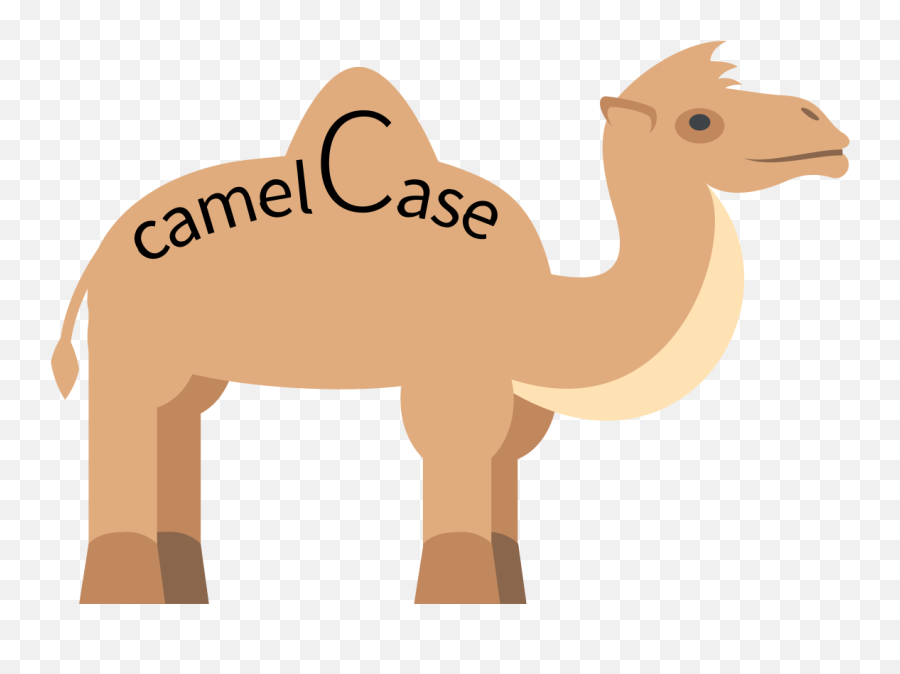 Camel Case Emoji,Transparent Casing