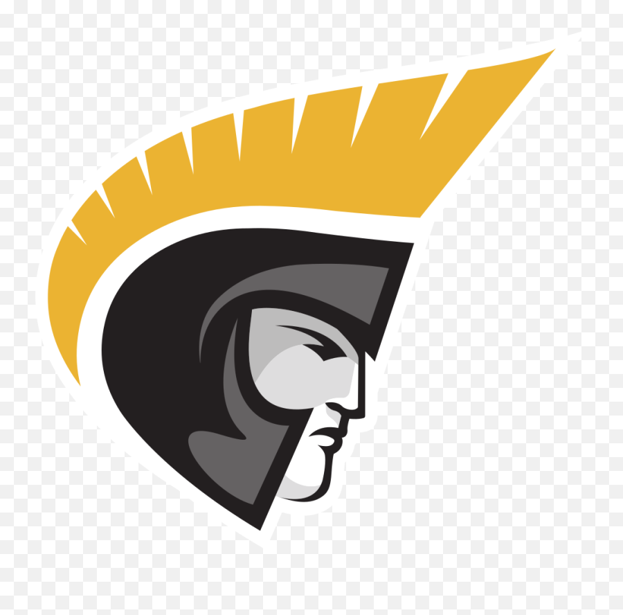 South Carolina Mens Baseball - Anderson University Logo Emoji,University Of South Carolina Logo
