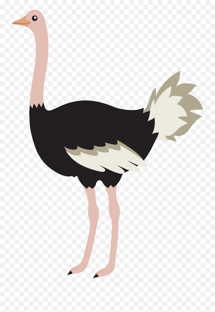 Free Ostrich Cliparts Download Free - Ostrich Clipart Emoji,Ostrich Clipart