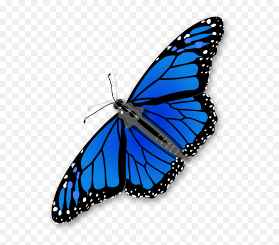 Download Large Monarch Butterfly 0 6281 Emoji,Monarch Butterfly Clipart