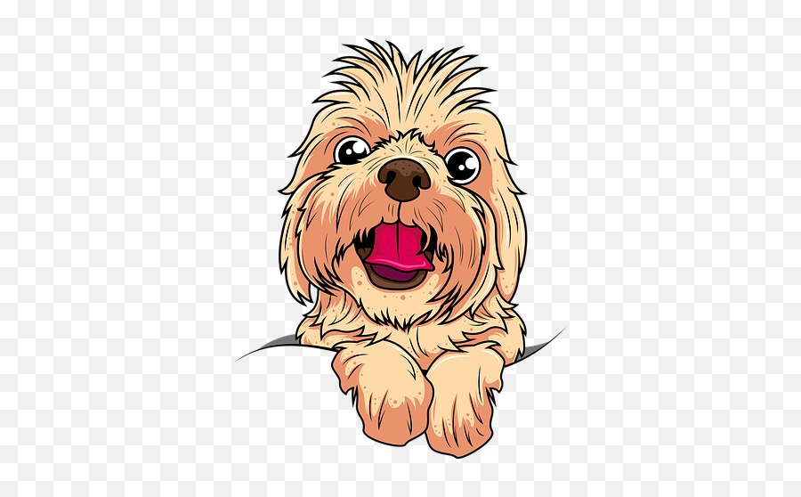 90 Free Shih Tzu U0026 Dog Images Emoji,Dog Walker Clipart