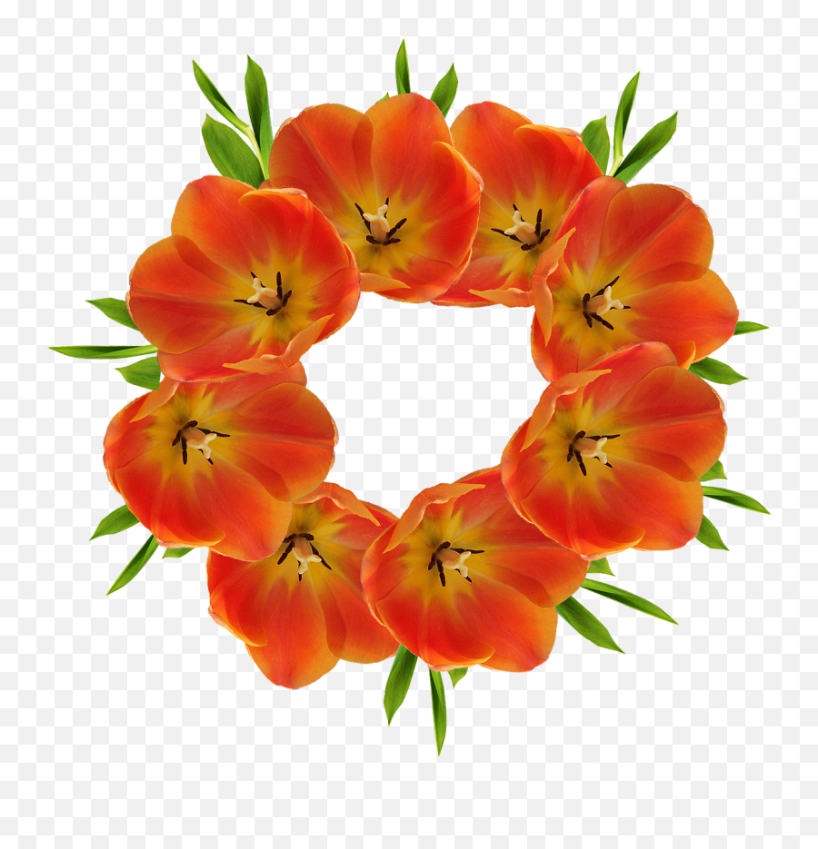 Crown Flowers Crown Flower Png - Flowers Crown Emoji,Flower Crown Transparent