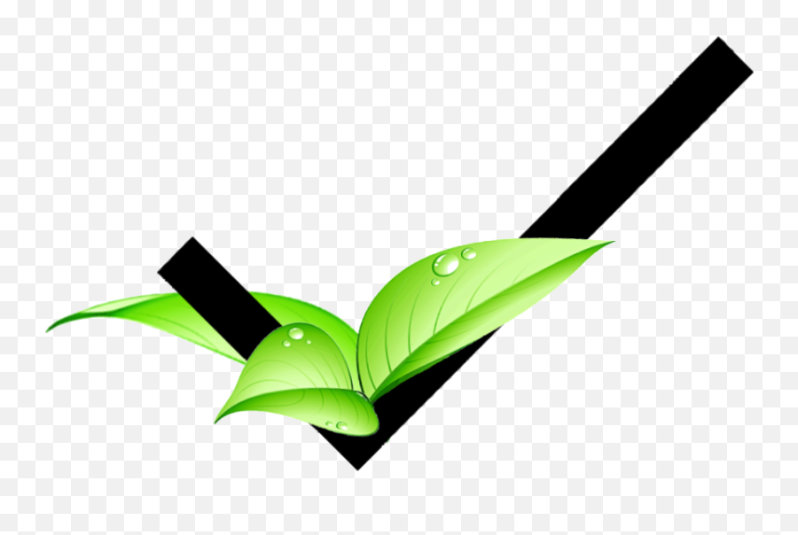 Precisionists Green Residential Services Emoji,Green Checkmark Png
