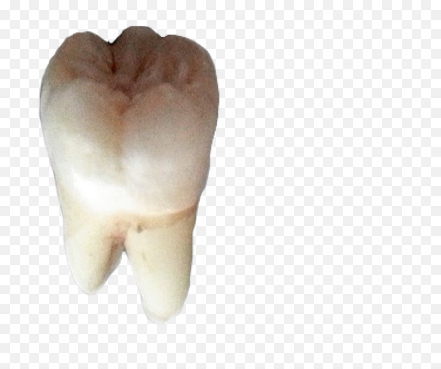 The Most Edited Tooth Picsart Emoji,Tooth Transparent Background