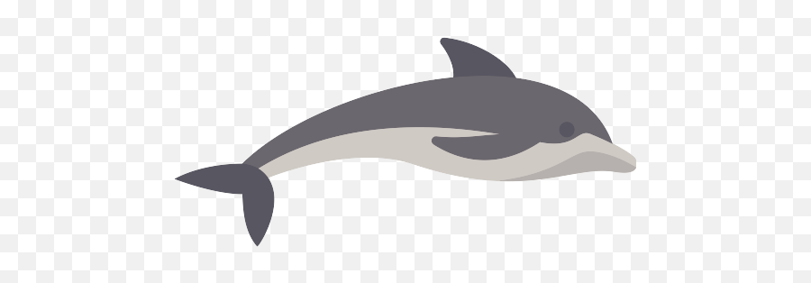 Dolphin Vector Svg Icon - Common Bottlenose Dolphin Emoji,Dolphin Png