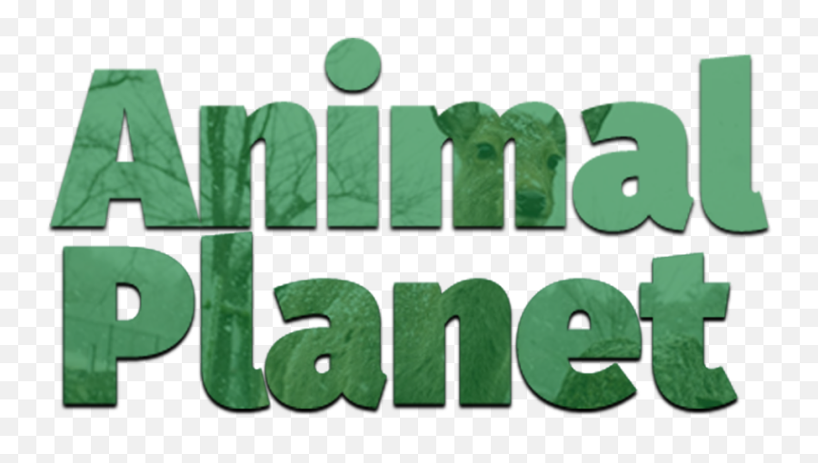 Iceberg - Dota 2 Animal Planet Logo Emoji,Animal Planet Logo