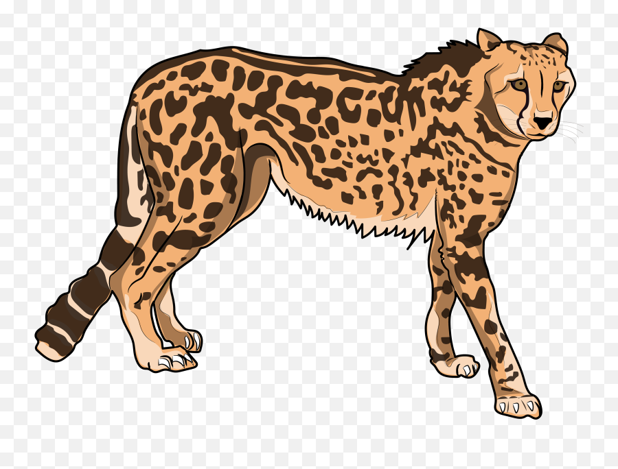 Zoo Animals Clip Art - Jaguar Transparent Cartoon Jingfm Cheetah Animal Clipart Emoji,Jaguar Clipart