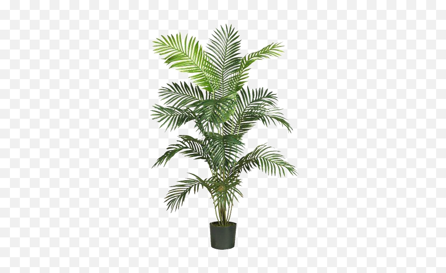 Palm Tree Png Images Transparent Background Png Play - Palm Artificial Tree Emoji,Palm Leaves Png