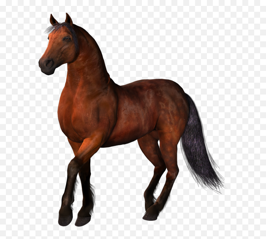 Brown Horses Png - Brown Horse With Transparent Background Emoji,Horses Png