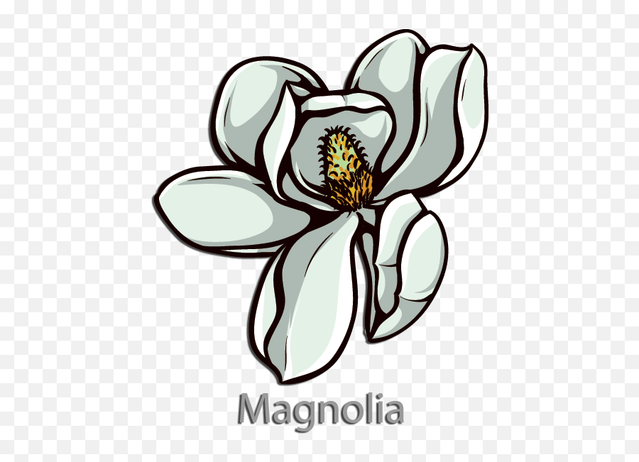 Kappa Alpha Order Flower Magnolia Emoji,Magnolia Clipart
