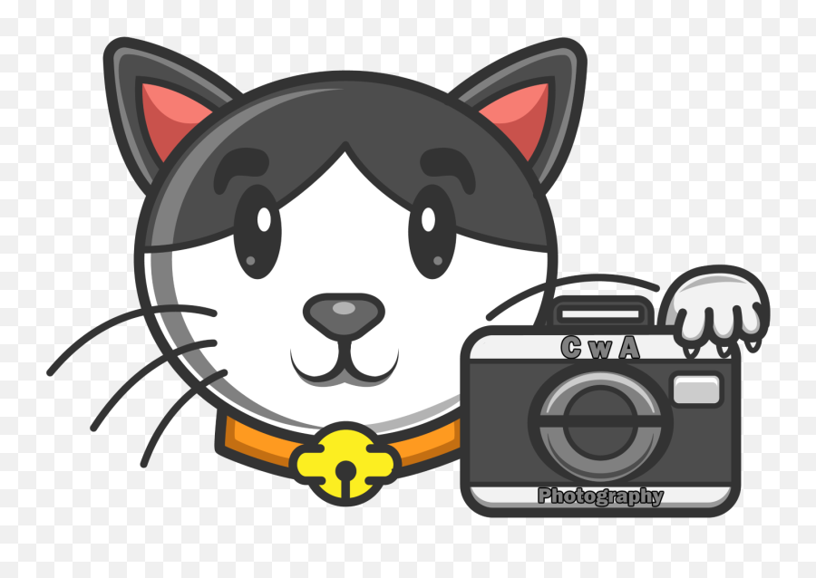 Evo Ii Pro - Camera Rdrones Emoji,Camera Cartoon Png