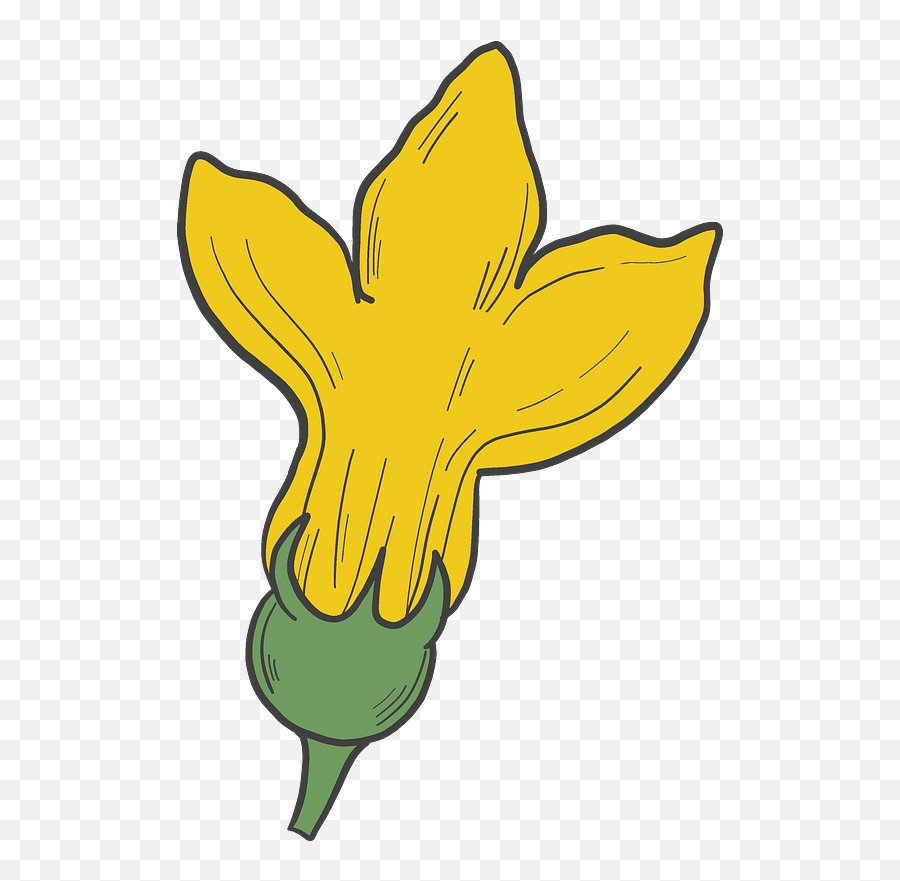 Pumpkin Flower Clipart Free Download Transparent Png - Flower Of Squash Clipart Emoji,Flower Clipart