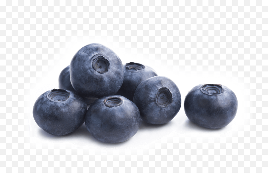 Download Single Blueberry Png - Metabolic Nutrition Psp 6 Blueberries Emoji,Blueberry Png