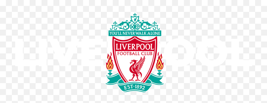 Mo Salah Mask - Liverpool Fc Emoji,Liverpool Logo