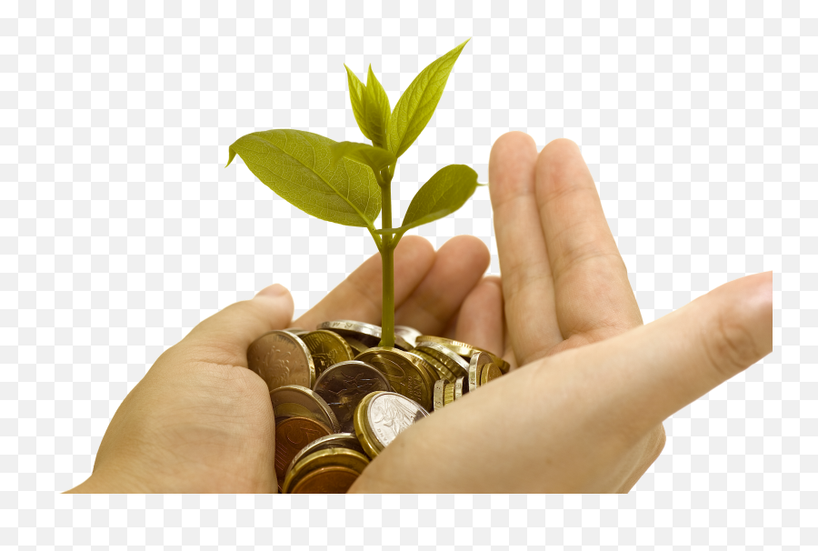 Transparent Money Grow Png - Grow Money Png Emoji,Money Png
