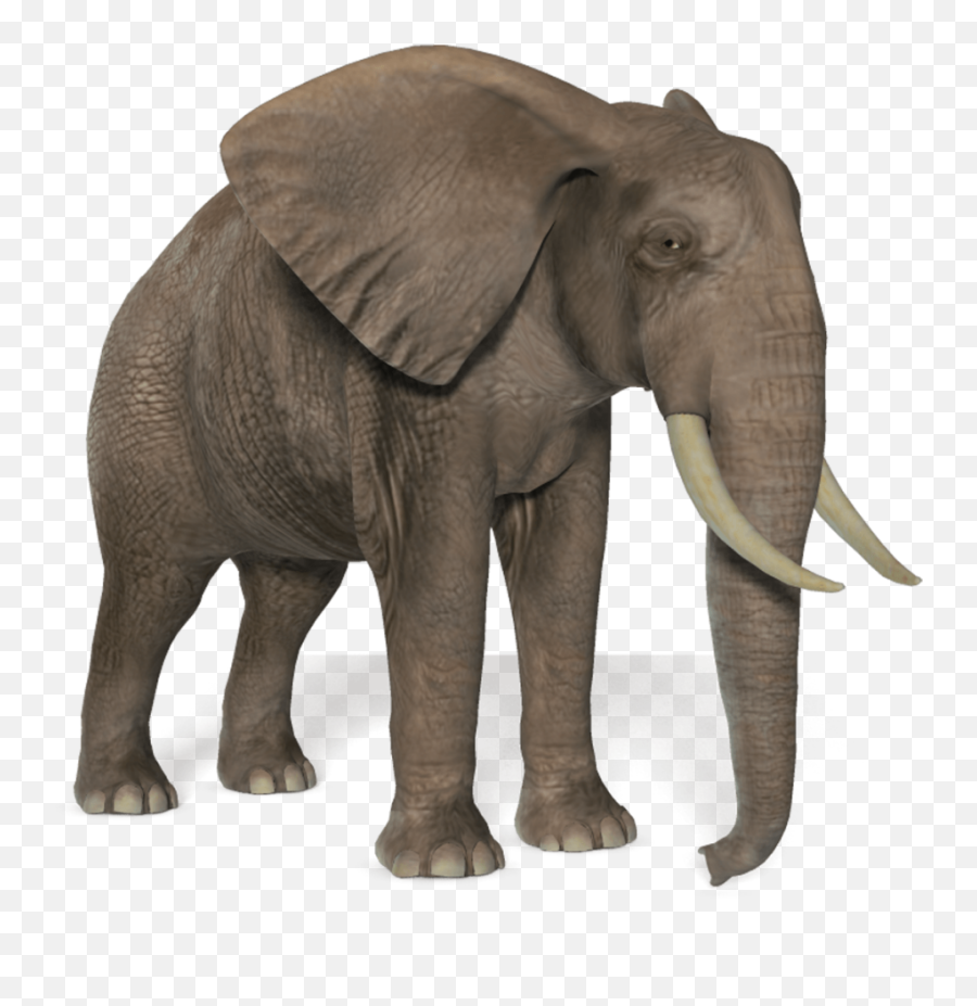 Free African Elephant Transparent - Elephant Transparent Background Png Emoji,Elephant Transparent Background