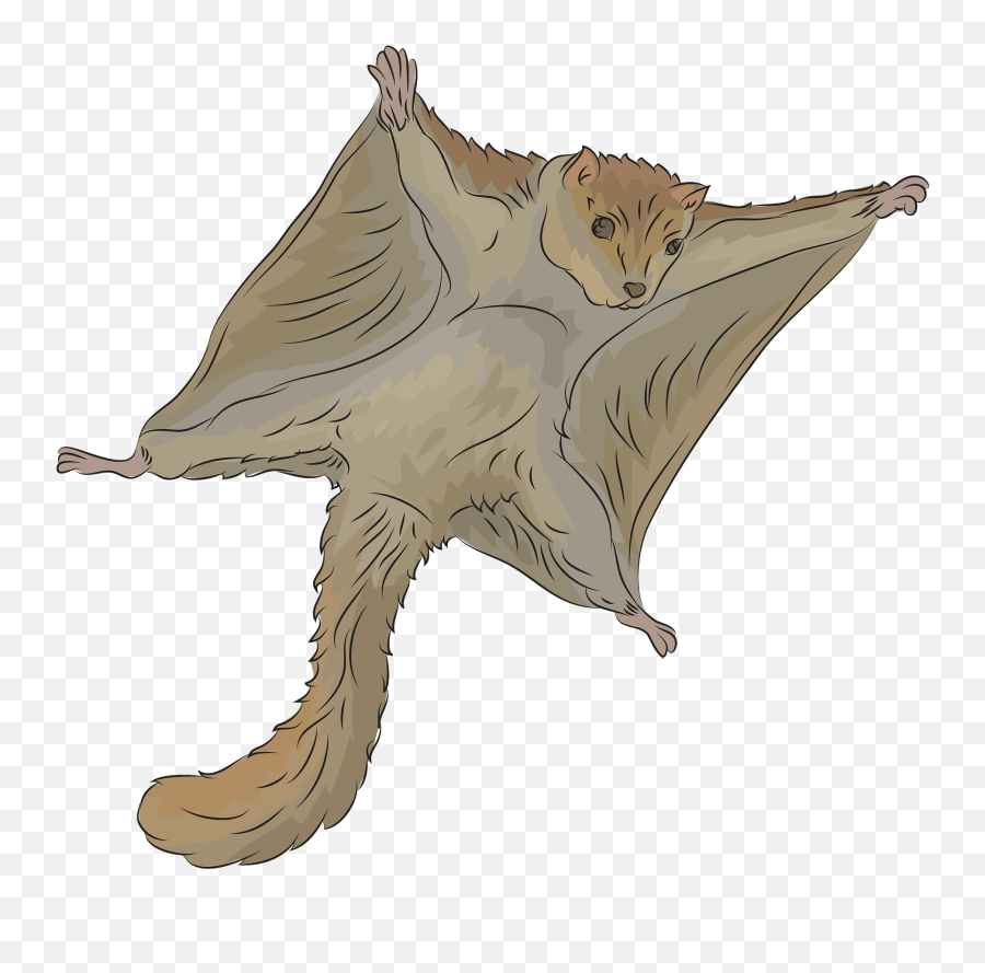 Flying Squirrel Clipart Emoji,Squirrel Clipart Png