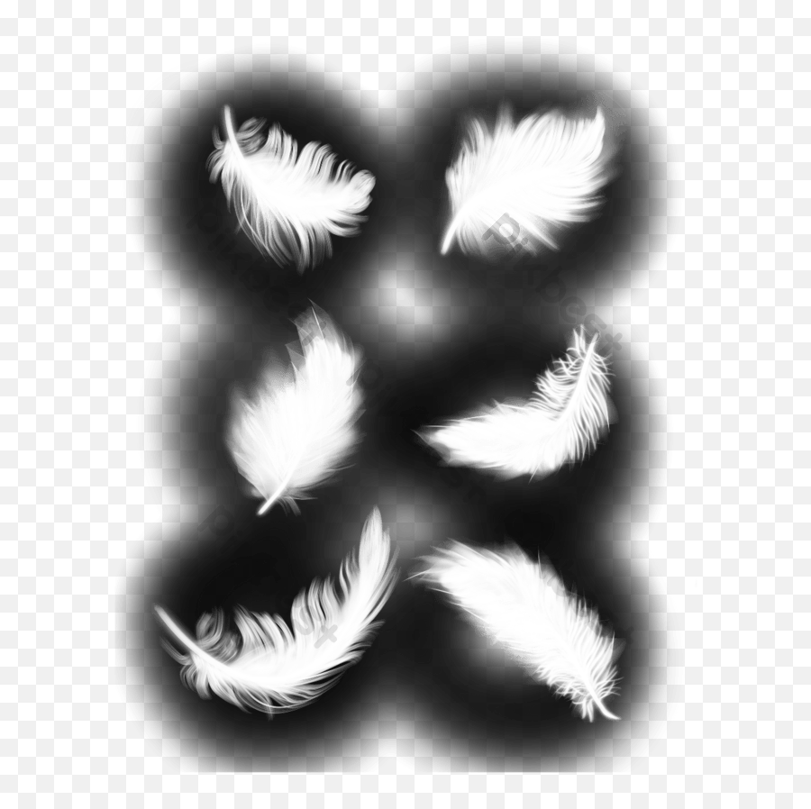 White Feather Vector Png Images Psd Free Download - Pikbest Emoji,Feathered Arrow Png