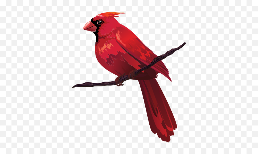 Download Hd Bird Euclidean Vector Red Clip Art - Cardinal Emoji,Cardinals Clipart