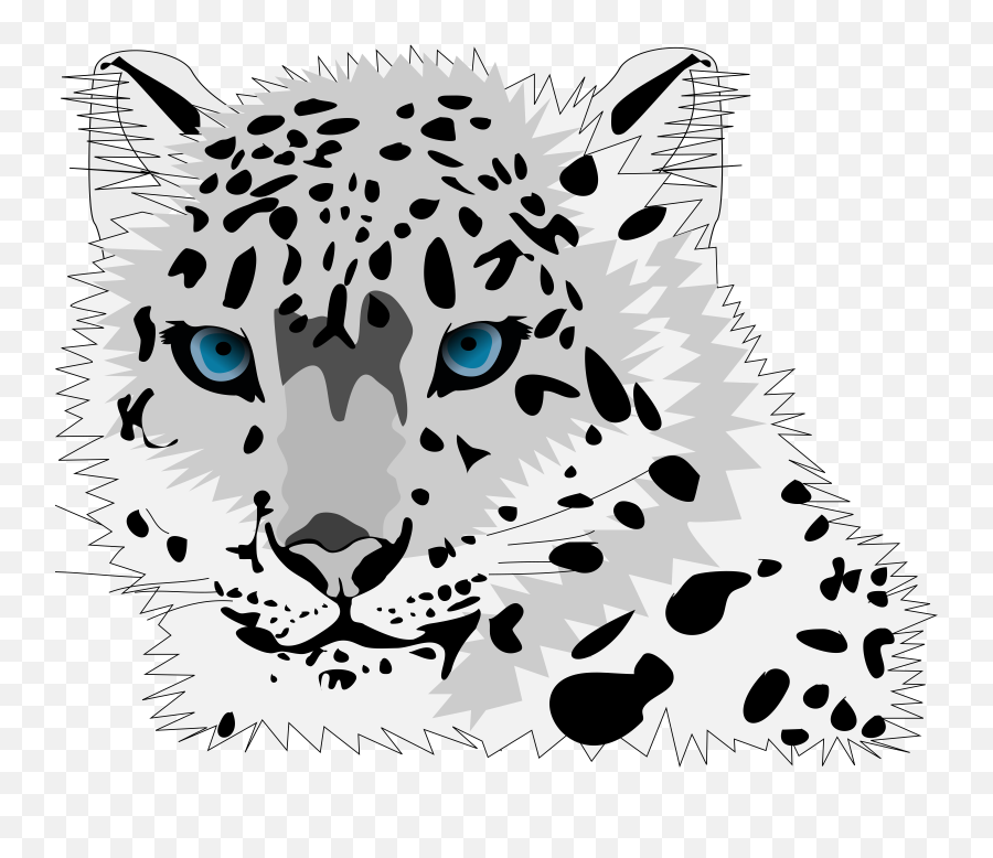 Monochrome Photographycarnivoranmonochrome Png Clipart - Snow Leopard Clipart Png Emoji,Jaguar Clipart