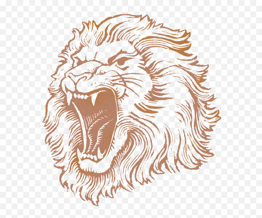 Picture - Transparent Background Lion Face Logo Emoji,Lion Head Clipart