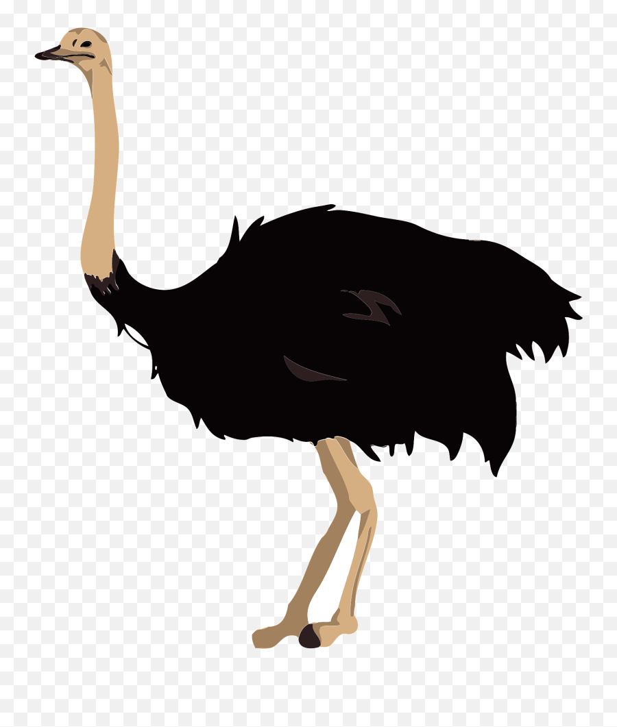 Ostrich Bird Clipart Emoji,Ostrich Clipart