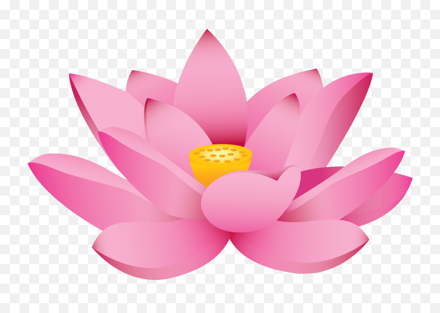 Meditation Png - Basic Principles For Meditation And Sun Hoa Sen P Png Emoji,Lotus Clipart