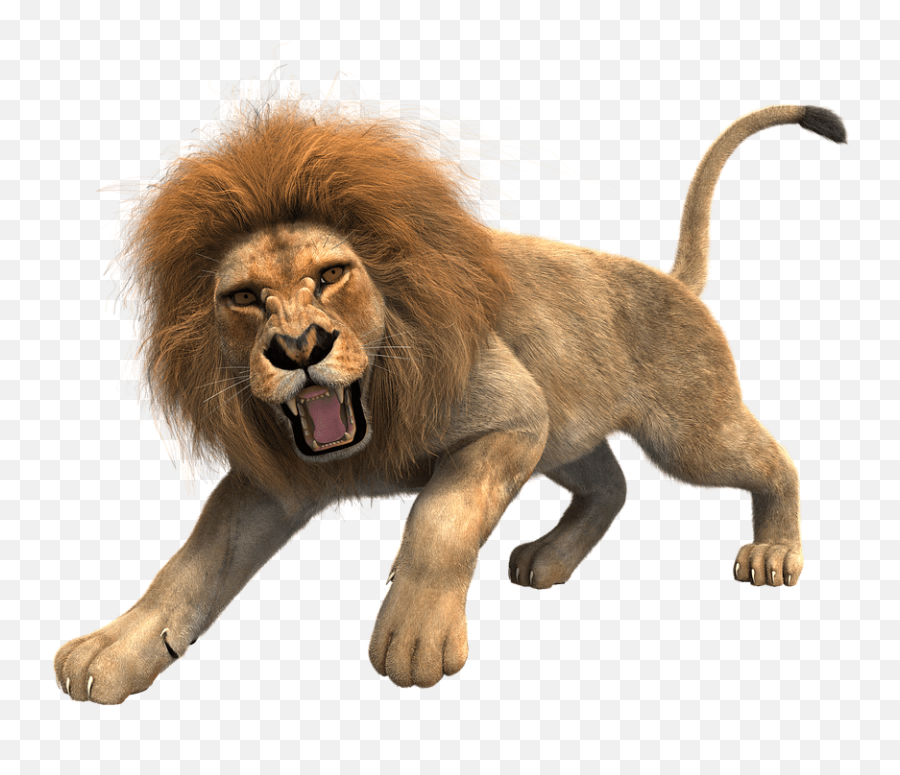 Lion Male Mane Predator Big Cat - Lion Png Transparent Roaring Lion Transparent Background Emoji,Lion Png