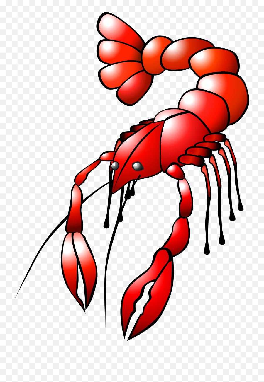 Line Artdecapodaorgan Png Clipart - Royalty Free Svg Png Lobster Drawing By Line Emoji,Louisiana Clipart