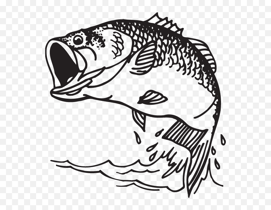Largemouth Bass Decal Bass Fishing - Bass Fish Coloring Pages Emoji,Bass Fish Clipart Black And White