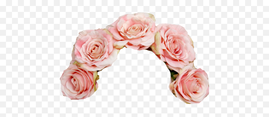 Transparent Tumblr Flower Crown Png - Pink Flower Crown Transparent Png Emoji,Flower Crown Transparent