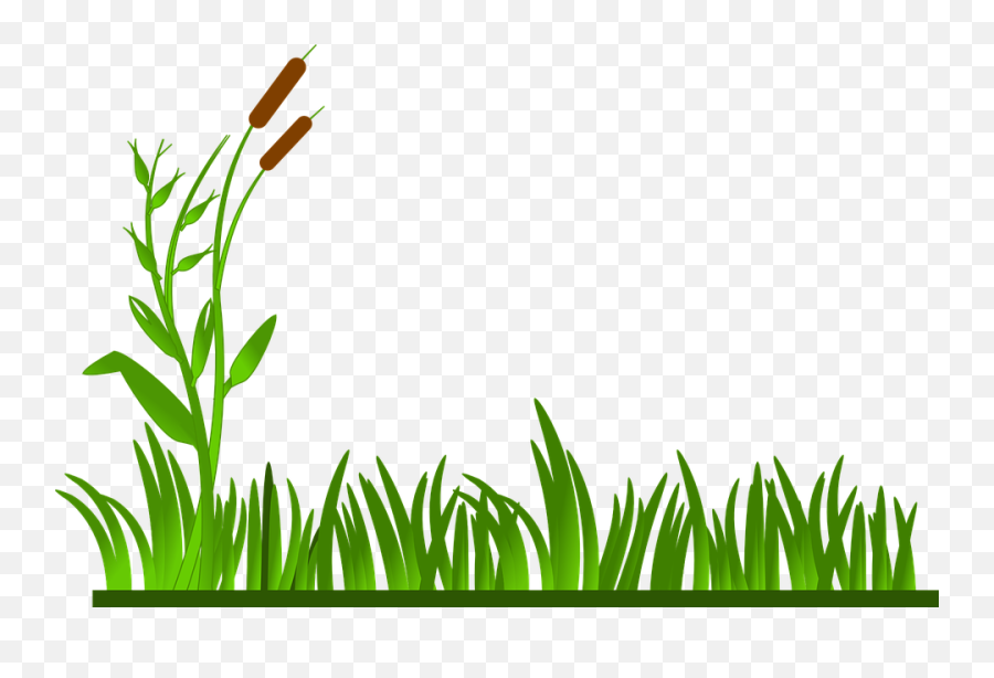 Free Swamp Background Cliparts - Border Grass Clipart Emoji,Background Clipart