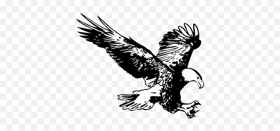 300 Stunning Eagle Vector And Clipart - Pixabay Pixabay Black Eagle Png Sketch Emoji,Eagle Clipart Black And White
