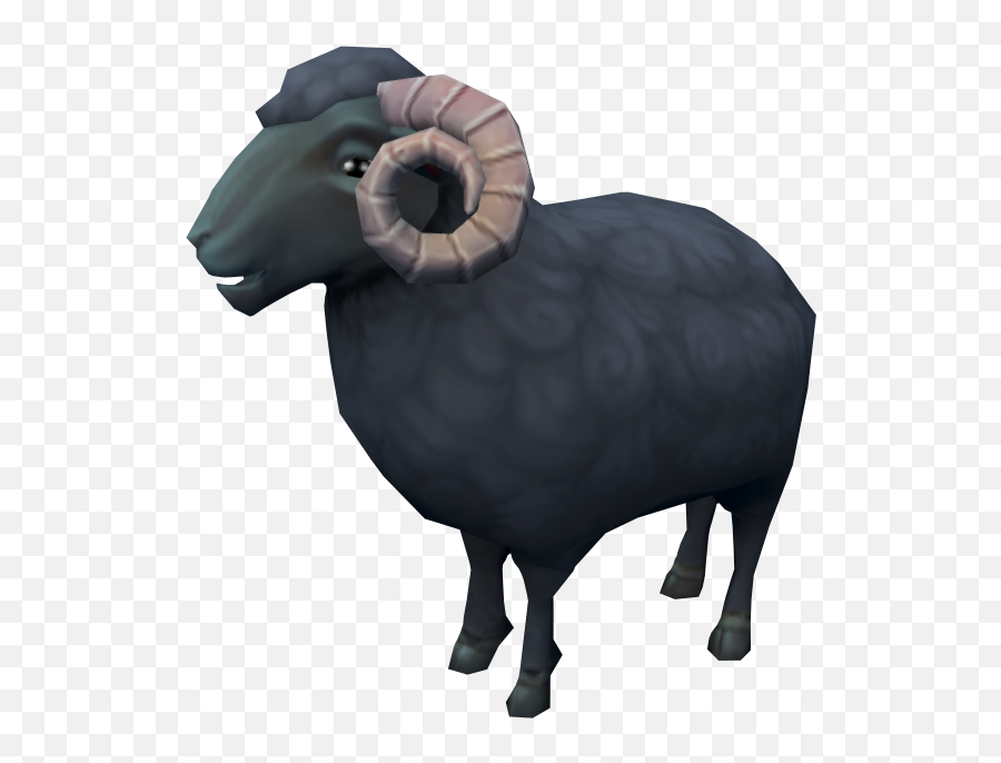 Black Ram - The Runescape Wiki Black Ram Animal Png Emoji,Rams Png