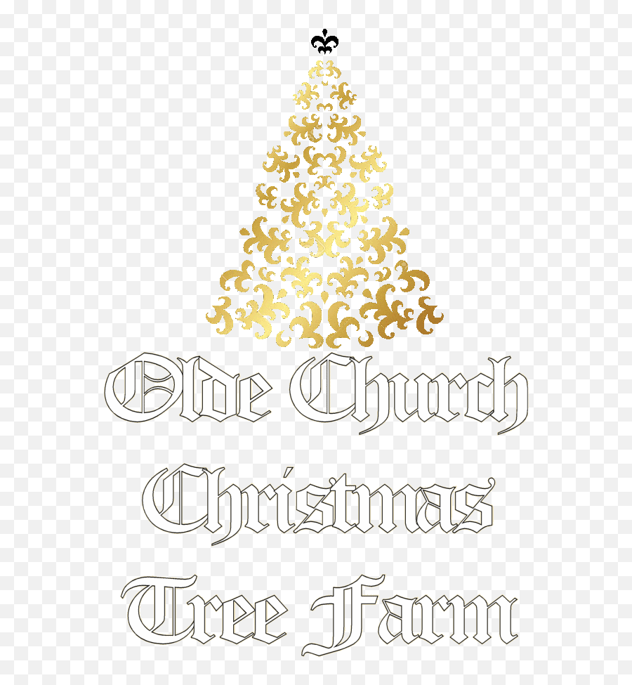 Olde Church Christmas Tree Farm - Christmas Day Emoji,Christmas Tree Transparent