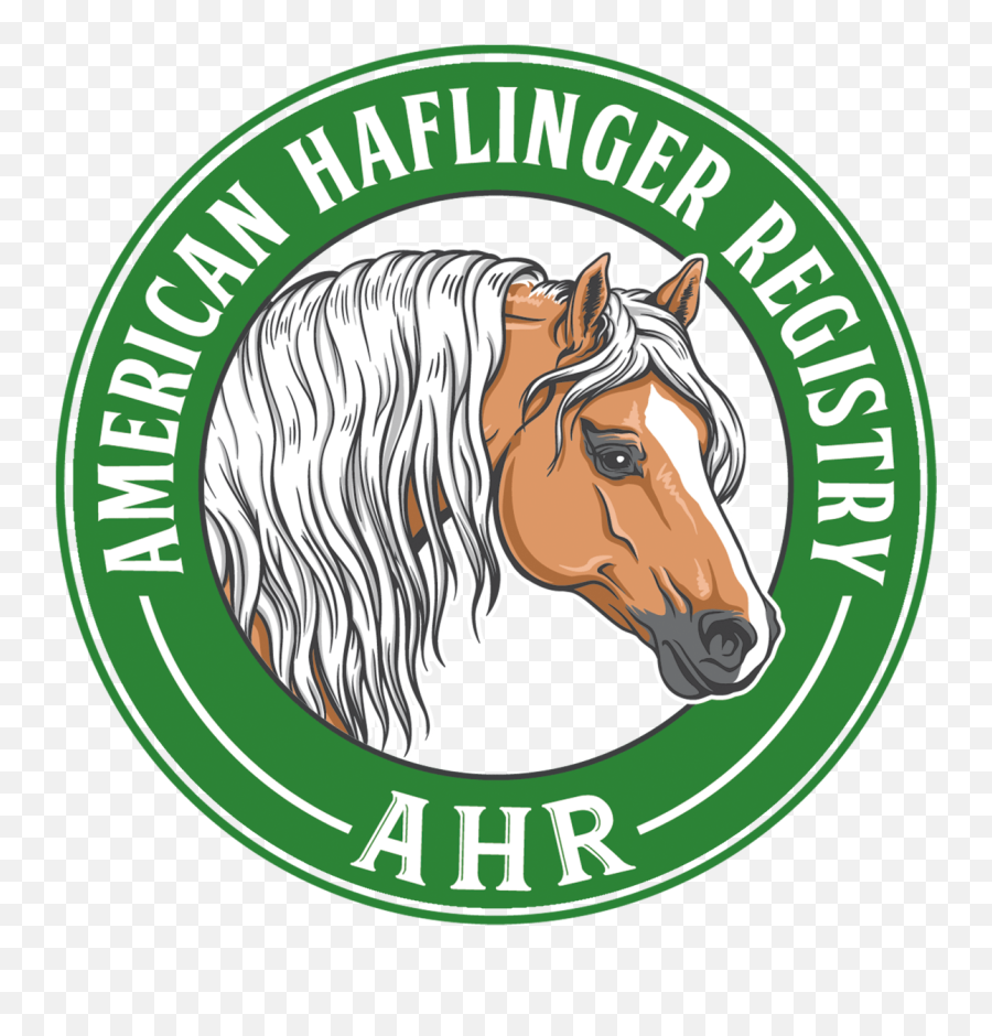 American Haflinger Registry Official Registry Of Haflinger - American Haflinger Registry Emoji,Horse Transparent