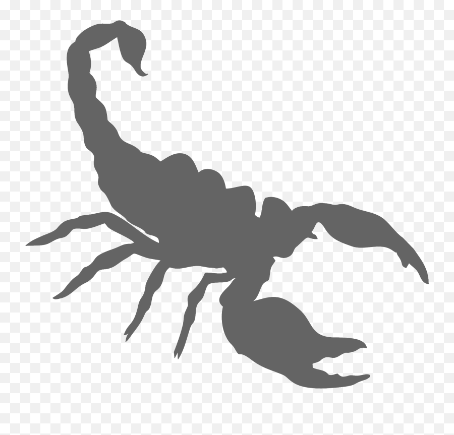 A3 Scorpion - Scorpion Png Emoji,Scorpion Png
