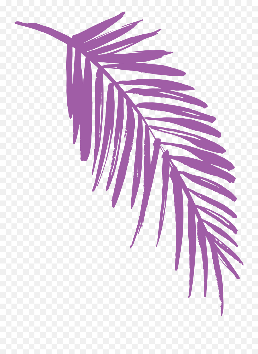 Color - Palm Leaves Png Color Emoji,Jungle Leaves Png