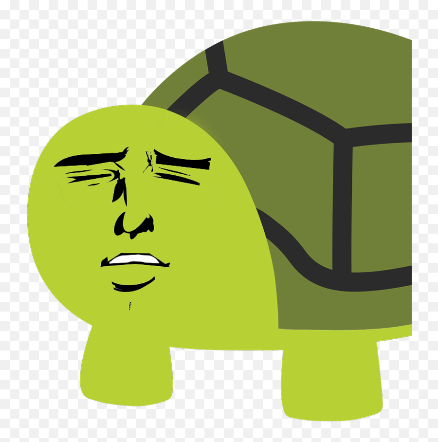 Rich In Trtl For Life Just Not In Usd Edition Anonymous - Turtle Emoji,Yaranaika Face Transparent