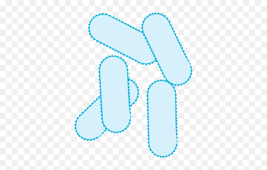 Download Bacteria Png Picture - Full Size Png Image Pngkit Dot Emoji,Bacteria Png