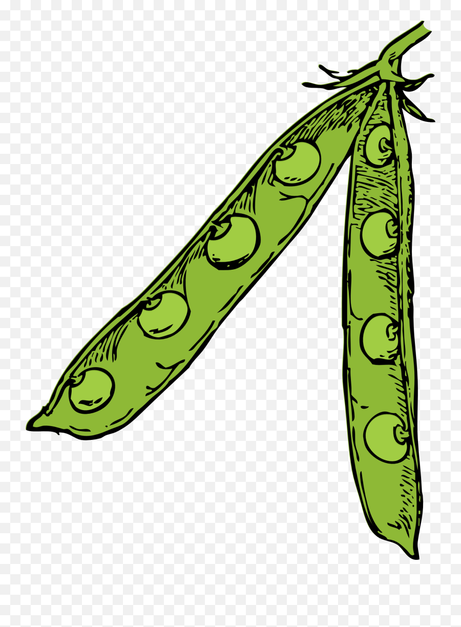 Plantleaftree Png Clipart - Royalty Free Svg Png Emoji,Sauce Clipart