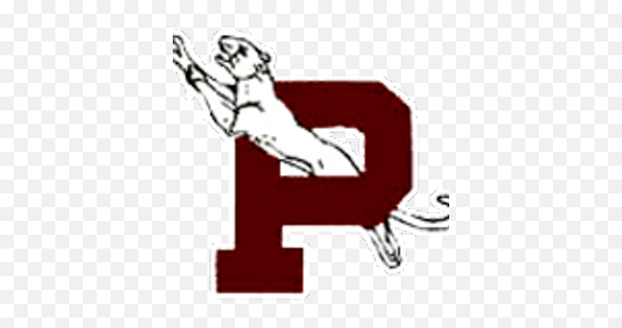 Paulding Panthers Emoji,Ohio Northern University Logo