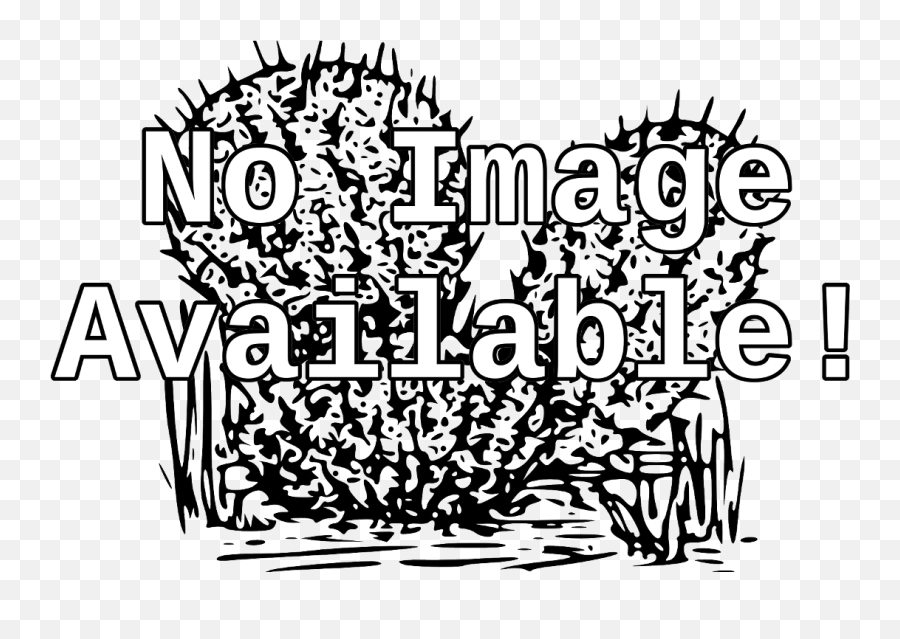 Select Seeds - Quality Cactus Emoji,Mexican Clipart Black And White