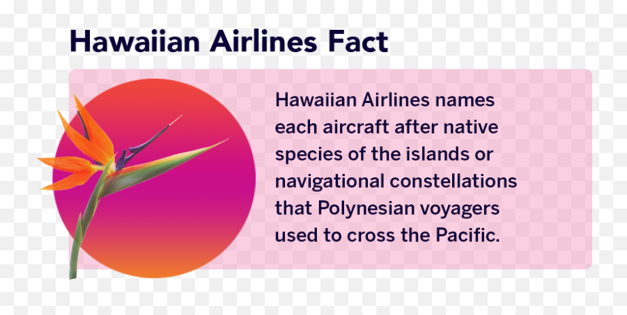 The Best Hawaiian Experiences Youve - Human Api Emoji,Hawaiian Airlines Logo
