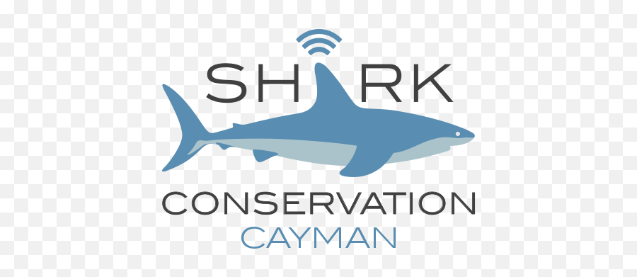 Sharkloggers U2014 Shark Conservation Cayman Emoji,Shark Transparent