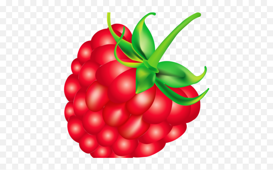 Rapsberry Clipart Fruit Salad - Raspberry Cartoon Png Emoji,Salad Clipart