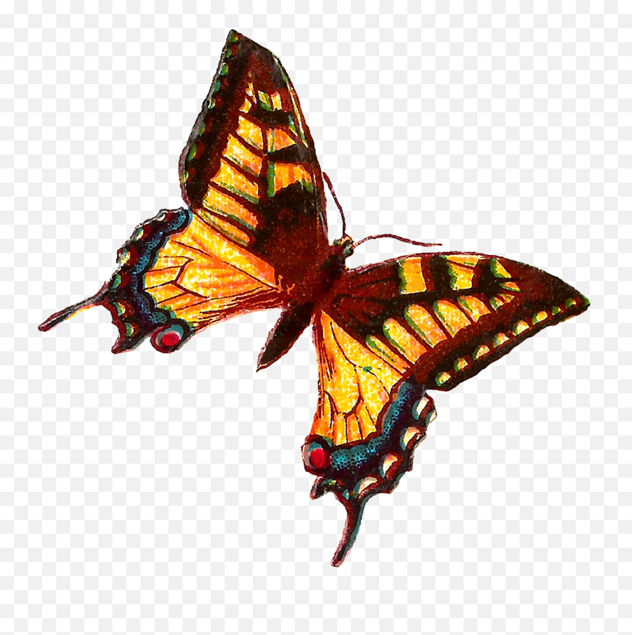 Insect Clip Art Victorian Artwork Emoji,Yellow Butterfly Png