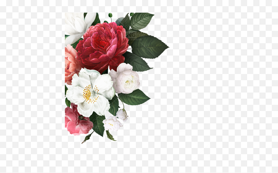 Flower Corner Design Png Free Download Emoji,Real Flower Png